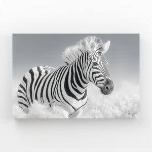 Zebra Wall Art Black And White