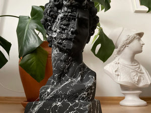 Black David Head Sculpture | MusaArtGallery™