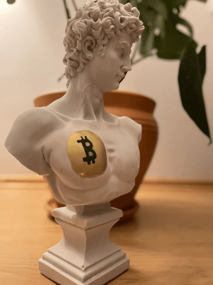 Bitcoin David Bust Statue - David Bust Statue for sale