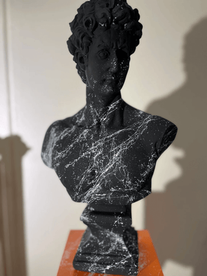 White Marble Black David Bust Statue - David Bust for Sale