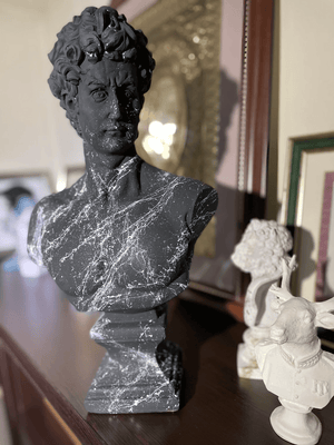 White Marble Black David Bust Statue - David Bust for Sale