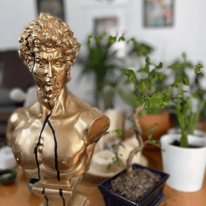 Gold Bust of David- Davis Bust for Sale