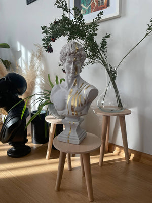Gold Grey David Bust Statue