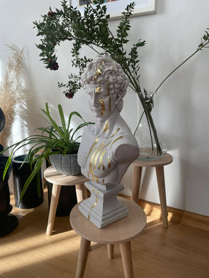 Gold Grey David Bust Statue