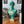 Blue David Bust Statue - David Bust Statue For Sale