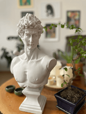 White David Bust Statue - David Bust for Sale