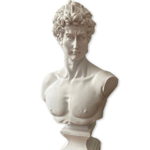 White David Bust Statue - David Bust for Sale