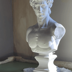 White David Bust Statue - David Bust for Sale